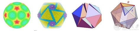 核-壳-表面复合球体的结晶态形貌控制_形貌-复旦大学-猪瘟- ()