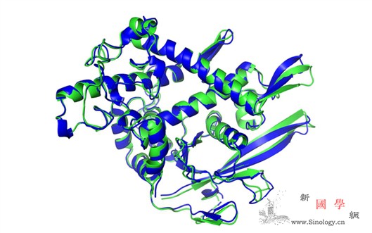 大难题告破蛋白质3D结构可用AI解_氨基酸-蛋白质-深度- ()