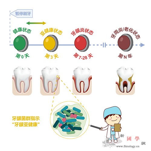 科学家提出“牙龈亚健康”概念并揭示分_牙龈炎-牙周炎-牙龈- ()